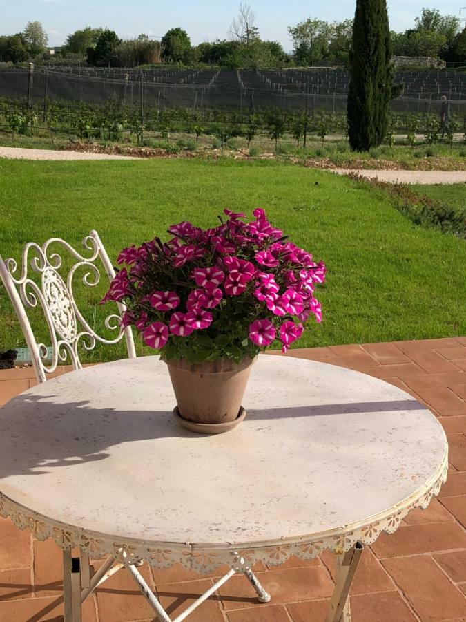 Maso Maroni Agriturismo Quinto di Valpantena Exteriér fotografie