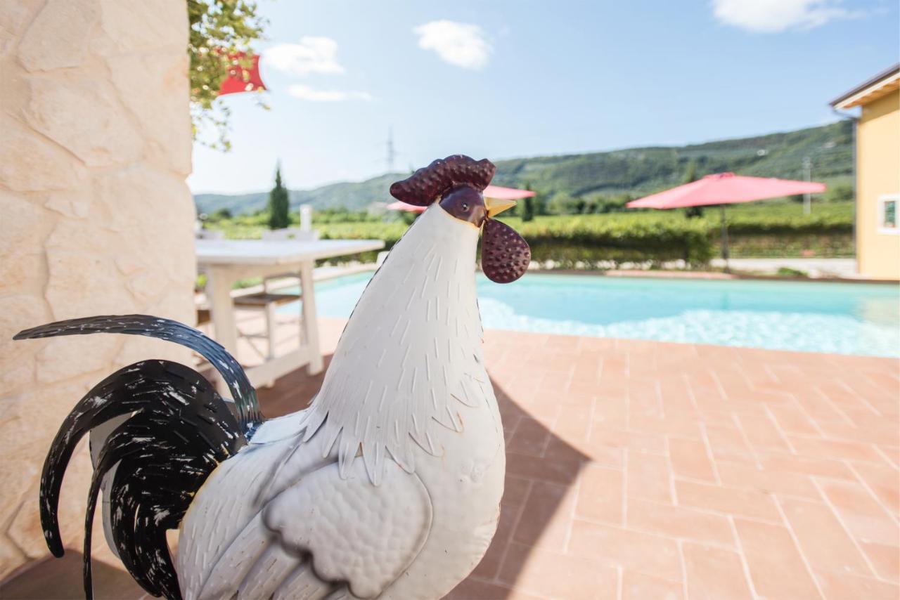 Maso Maroni Agriturismo Quinto di Valpantena Exteriér fotografie