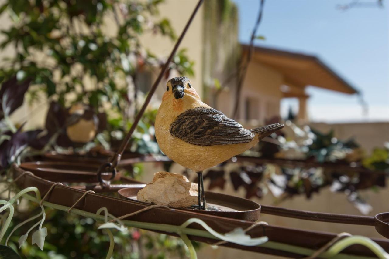 Maso Maroni Agriturismo Quinto di Valpantena Exteriér fotografie
