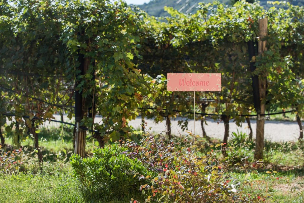 Maso Maroni Agriturismo Quinto di Valpantena Exteriér fotografie